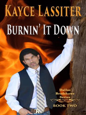 cover image of Burnin' It Down